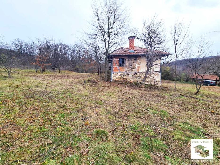 116252 Голям парцел с две къщи и плевня в с. Войнежа