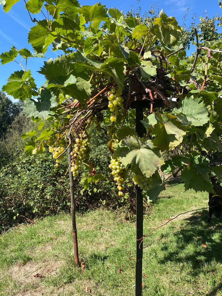 Продава се Къща в София, Красно село - 60 кв.м за 595 €/кв.м - Снимка #7