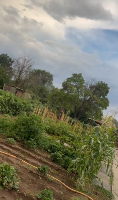 Продаётся дача в удобном районе — Медзавод