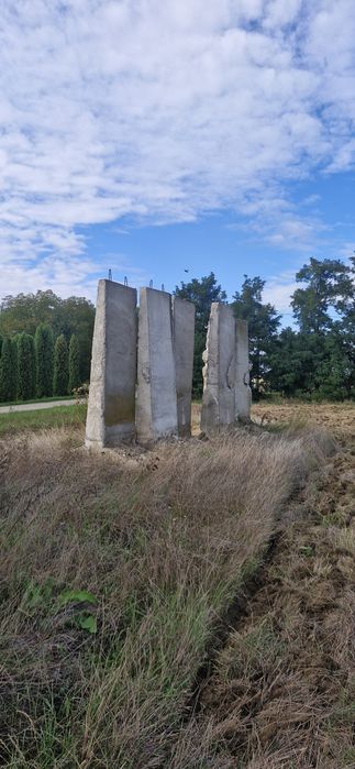 Plăcii beton armat