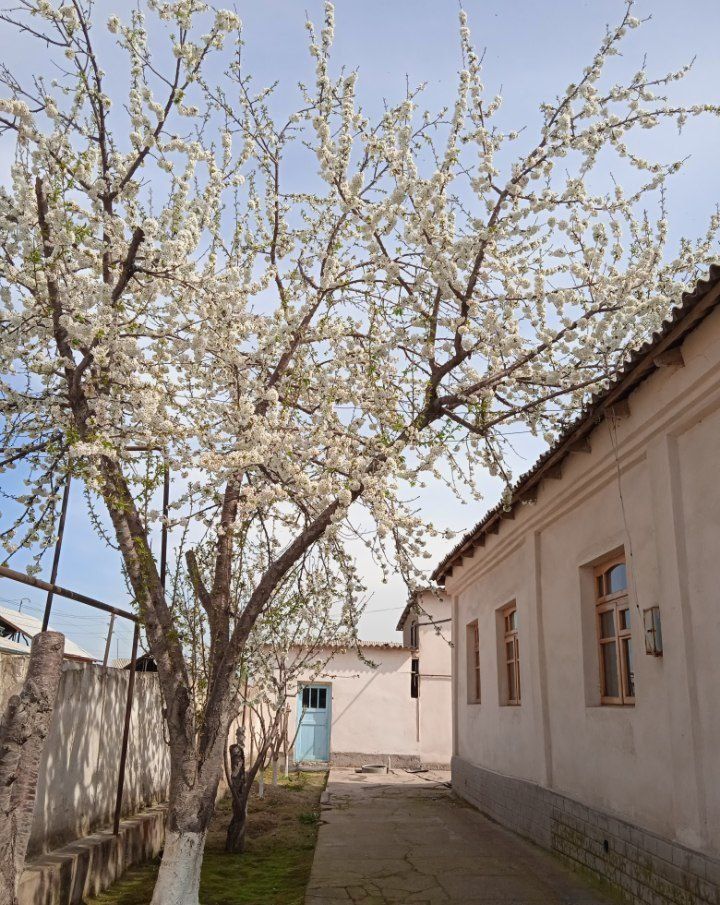 Hovli uy sotiladi