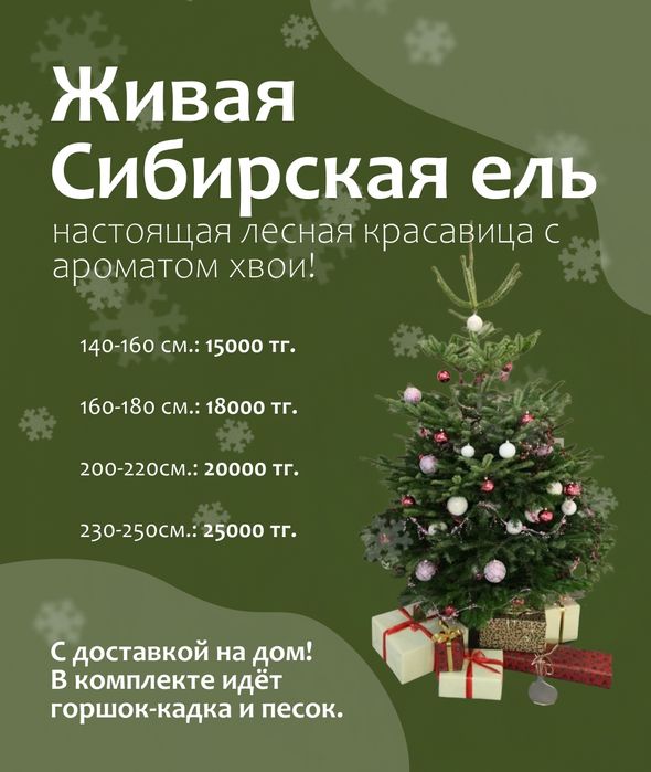 Ель новогодняя с доставкой на дом в Алматы