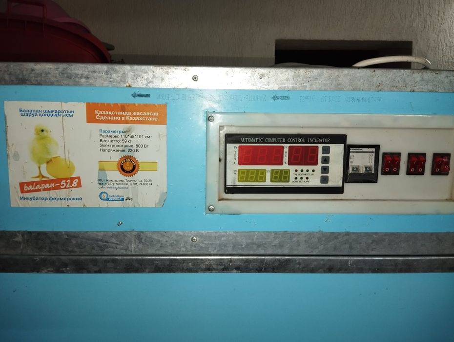 Продам инкубатор Балапан на 528 яиц...