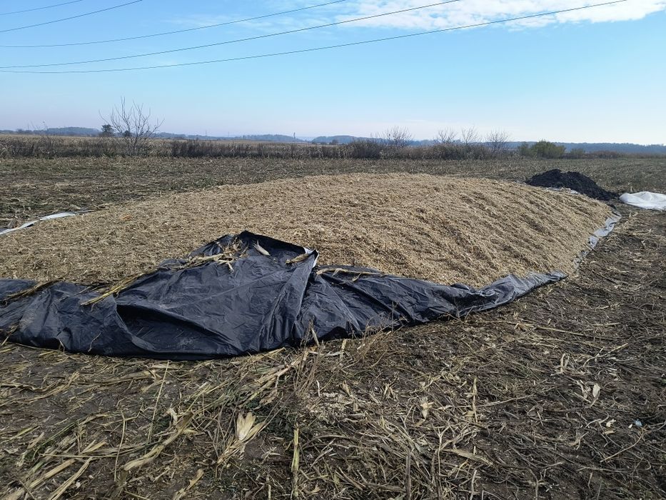 Vând siloz de porumb