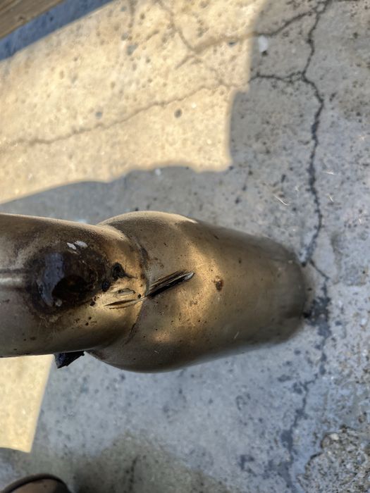 Vand tobe borla pro xs , finala tot borla