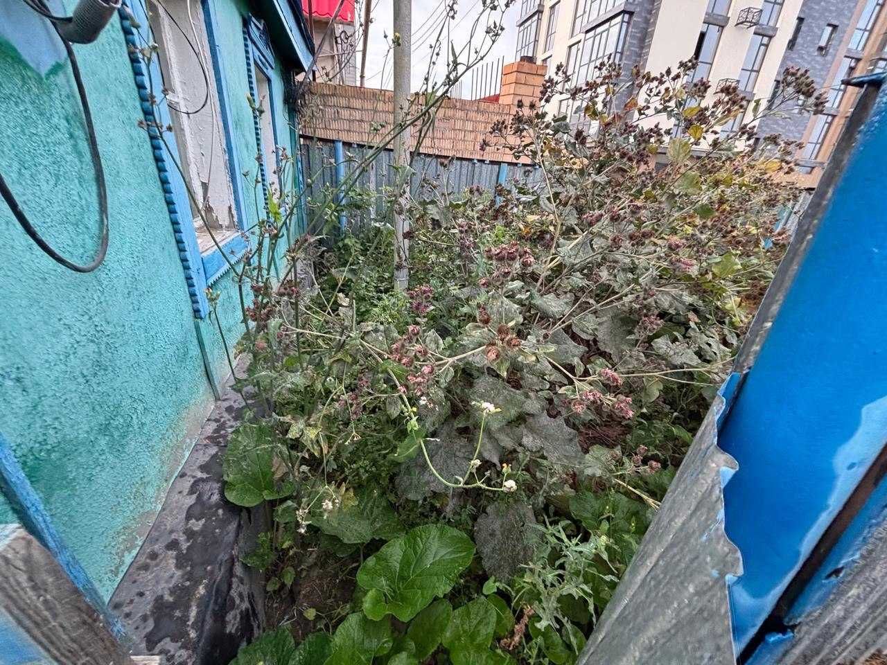 ДОМ в центре города