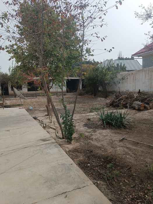 Hovli sotiladi 6 sotih