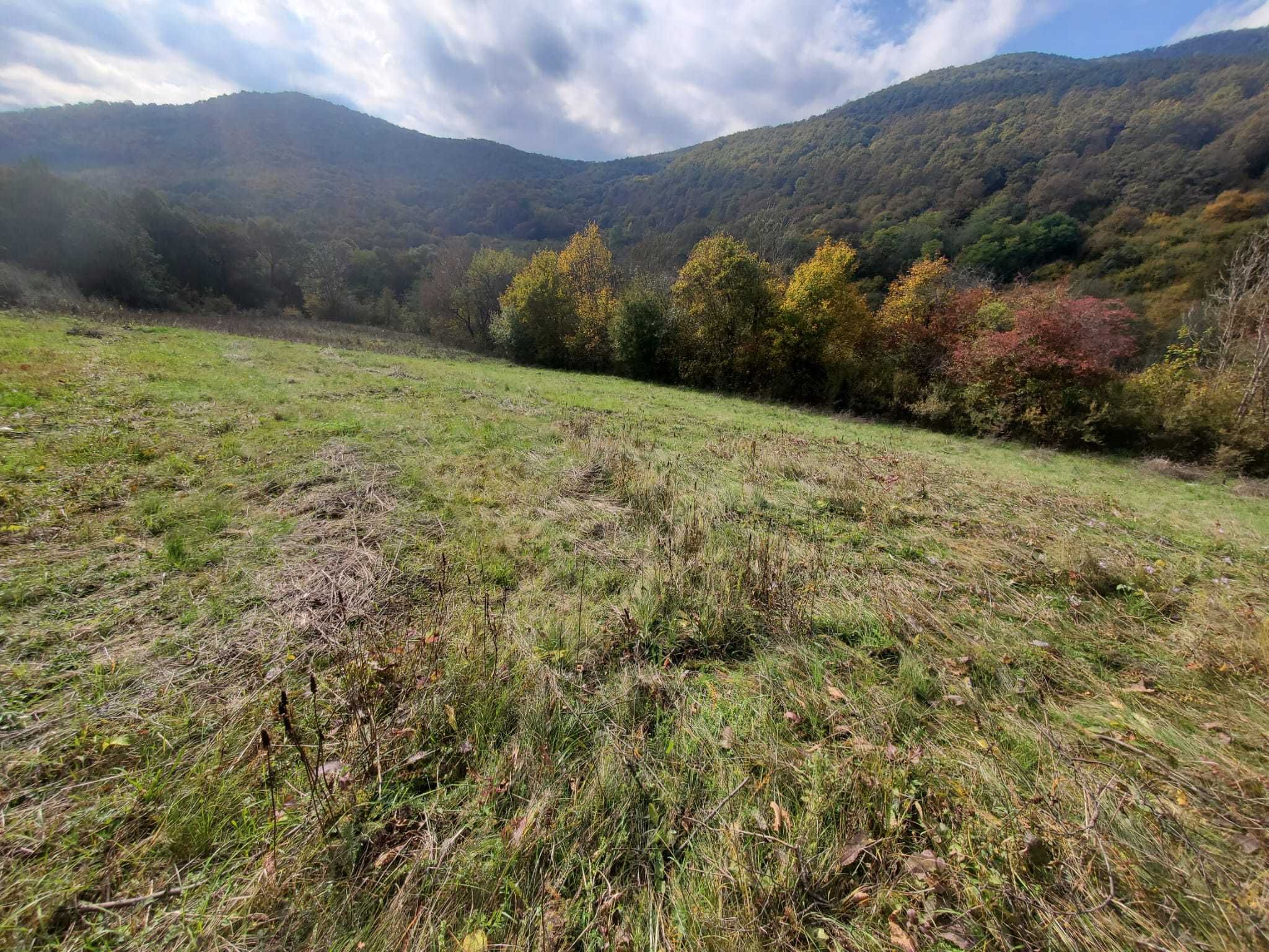 Teren in Muntii apuseni, zona turistica