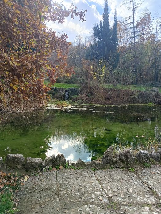 Кукла бебе и кукла с лекарски принадлежности