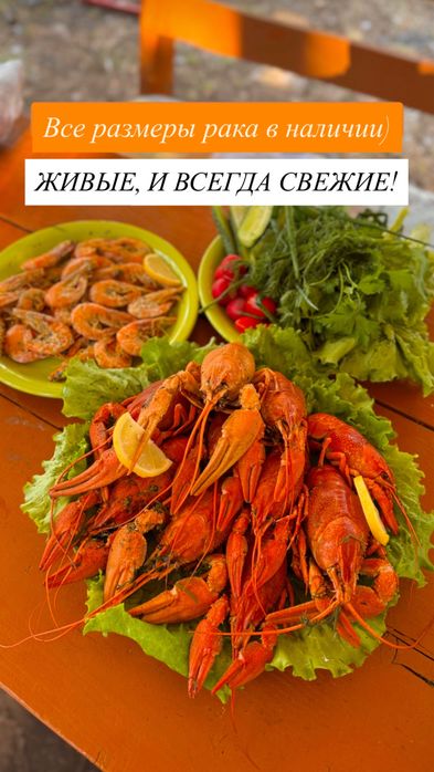 Живые свежие  раки!