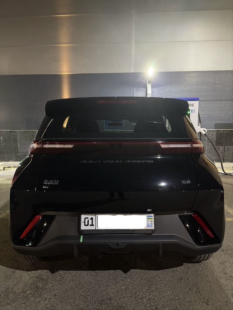 BYD Seagull 2024