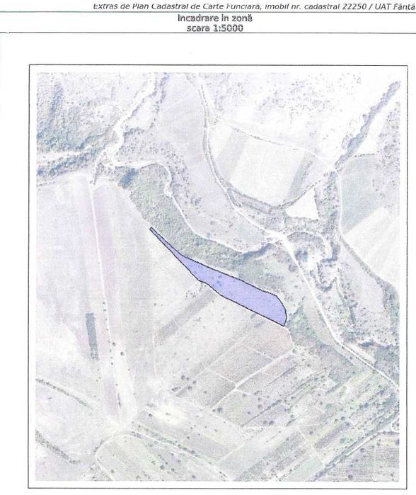 Teren vie 1.43 ha - Defrisat, Dealu Mare, Fantanele/Vadu Sapat Schimb