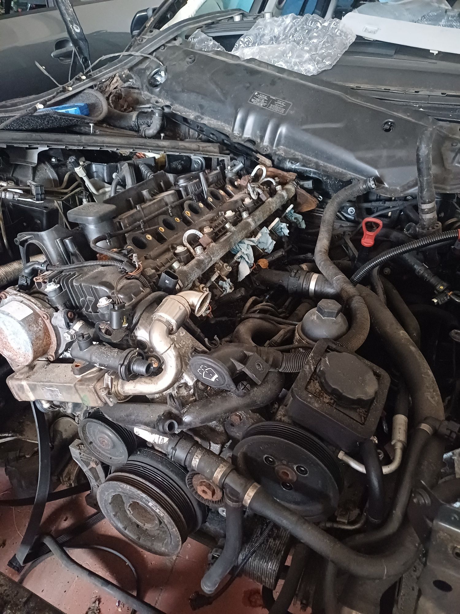 Motor bmw e60 525d 177