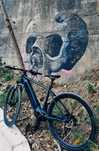 Bicicletă electrică easybike