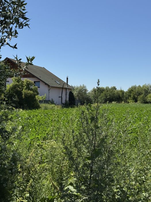 Vand teren 2000 mp Halchiu, 90000 € minus 30% pana la 31.12.2025