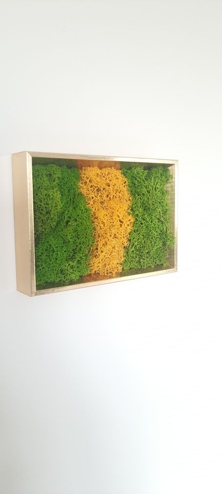 Tablou licheni 20 x 15 cm