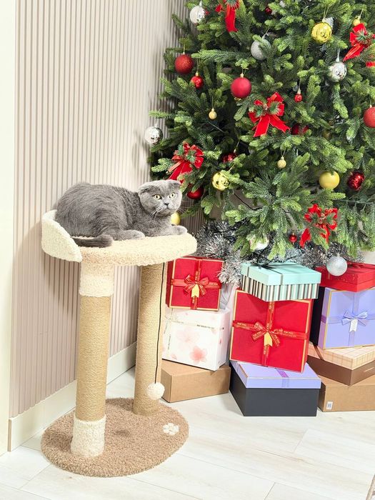 Когтеточка двойная с лежанкой. Когтеточки для кошек