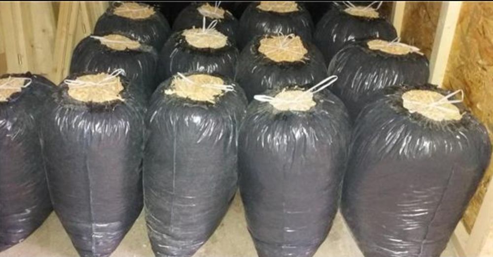 Rumeguș pentru animale