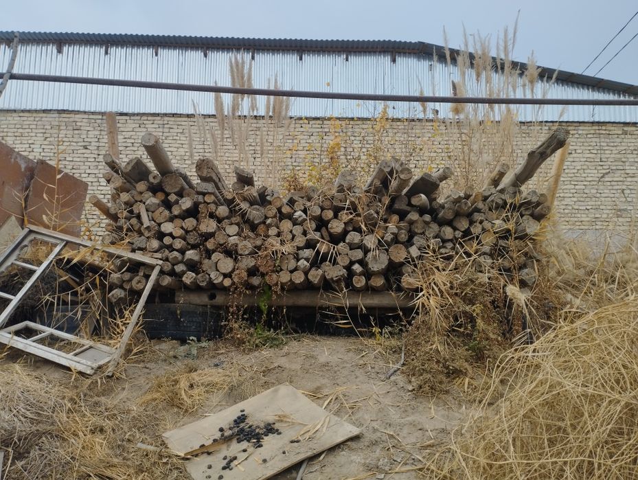 Assalom aleykum qalamalar sotiladi