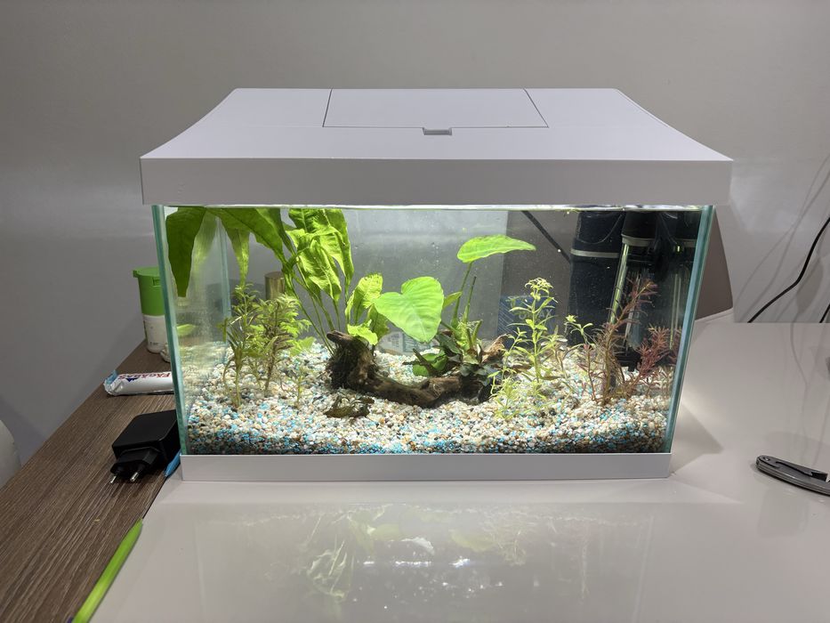 Acvariu 25 litri