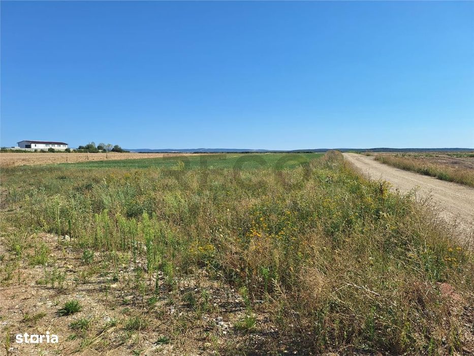 Reco, Teren intravilan Osorhei