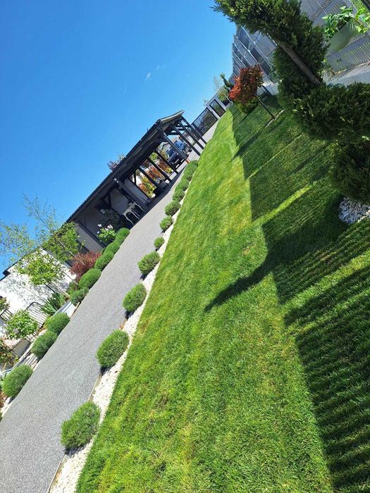 Garden Elen | Gazon Rulou & Semințe + Pregătire & Întreținere