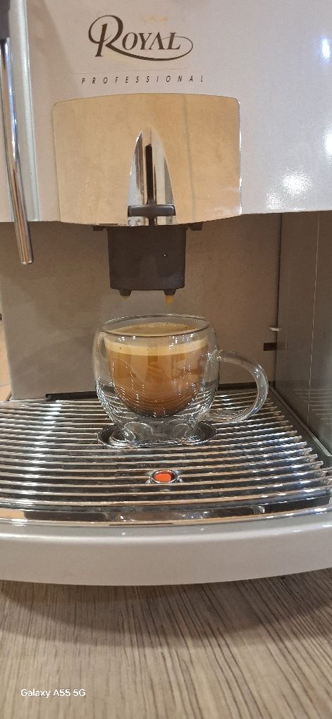 Saeco professional