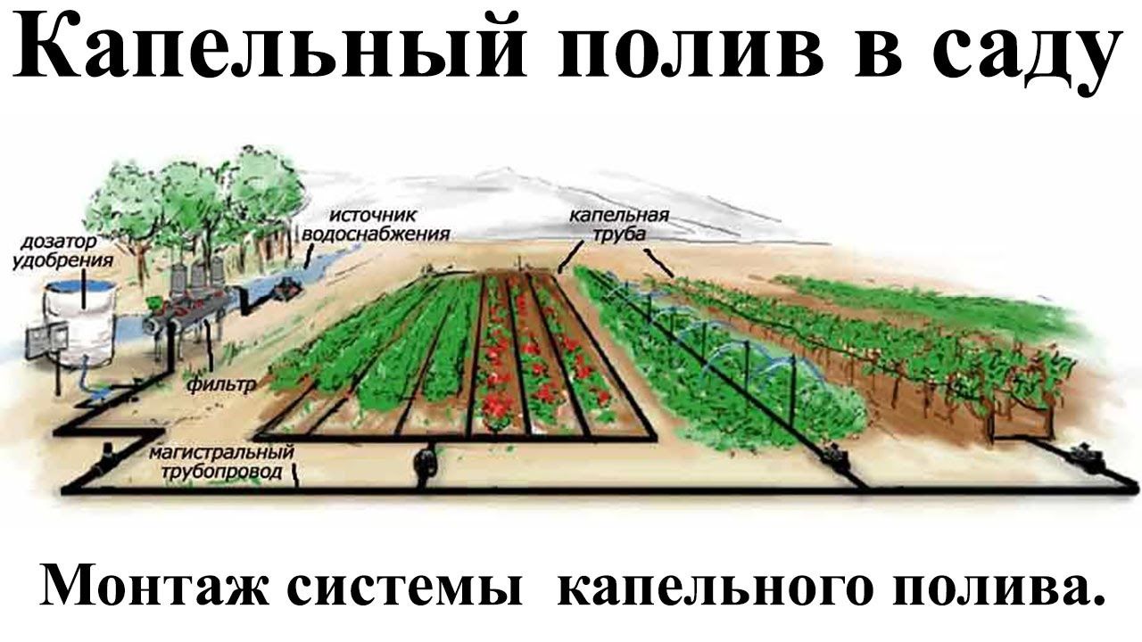 Капельное орошение Тамшылап суғару