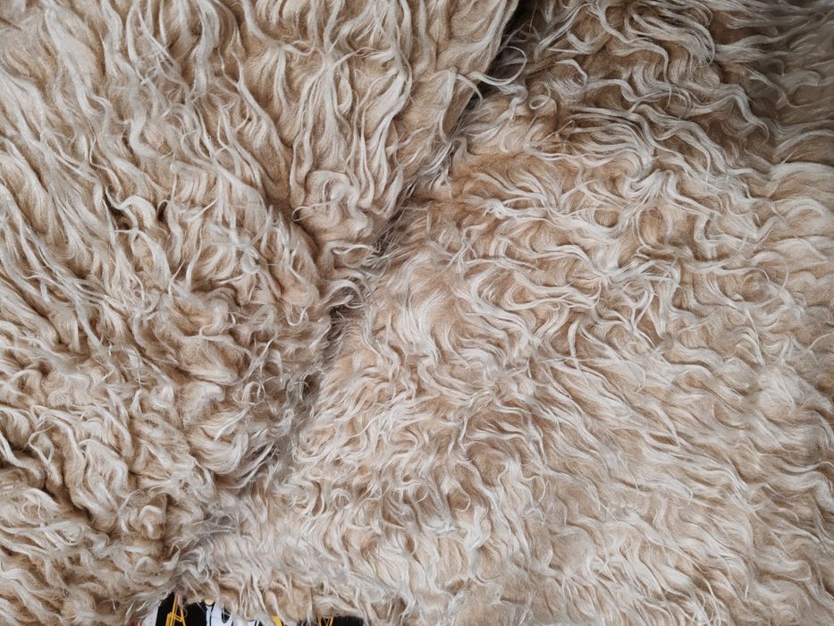 Покривала  ледека