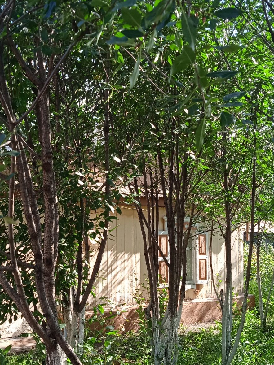 Продам участок с жилым домиком,по ул Акан Серэ,91(р-он элеватора)