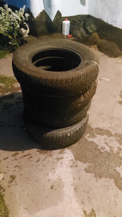 Продам шины зимный