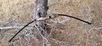Спортен лък (straight bow) 40lbs , дърво и фибростъкло