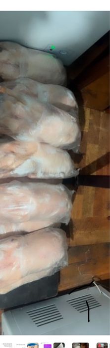 Домашние Гуси оптом находимся в караганде 2600тг/кг