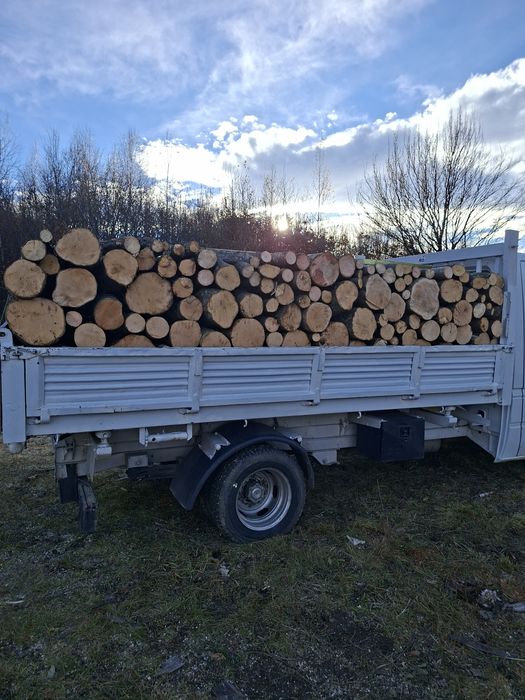 Lemne de foc la 350 lei metru eseță tare