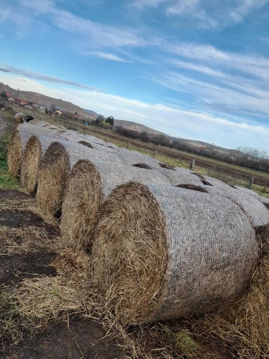 Baloti paie de grau