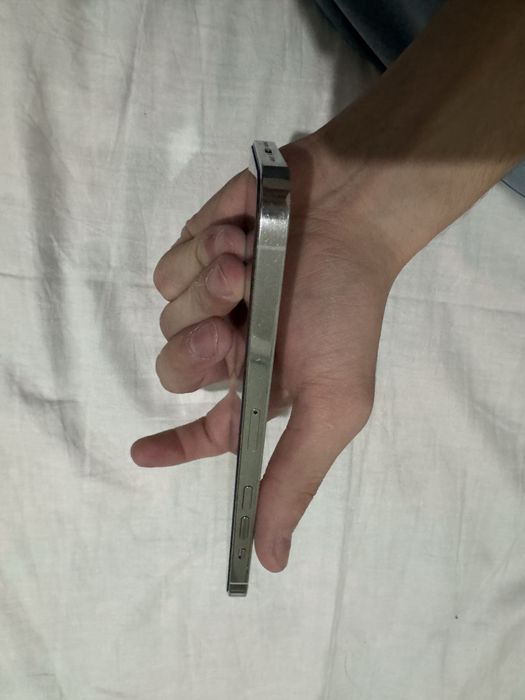 Iphone 12 pro max ideal