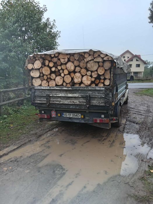 Lemn de foc esență tare și moale