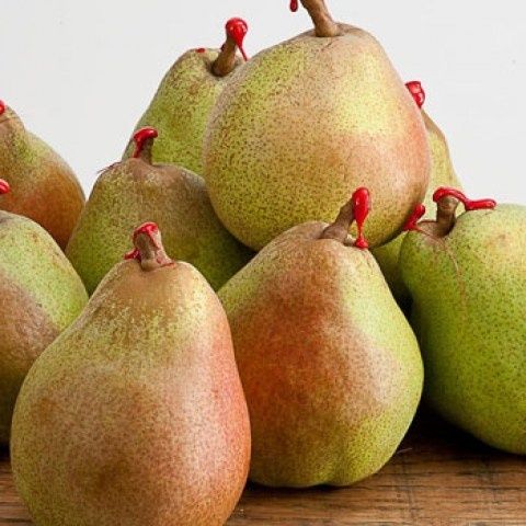 Par (Soiul Decana Comisiei )