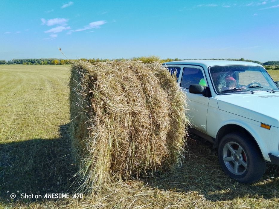Сено рулон тюк шөп пресс