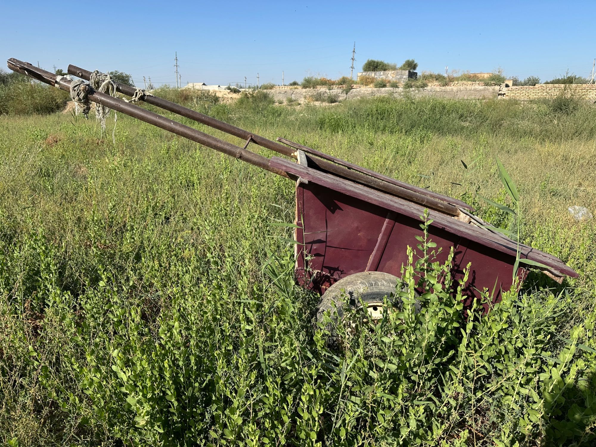 Arava arzon narxda
