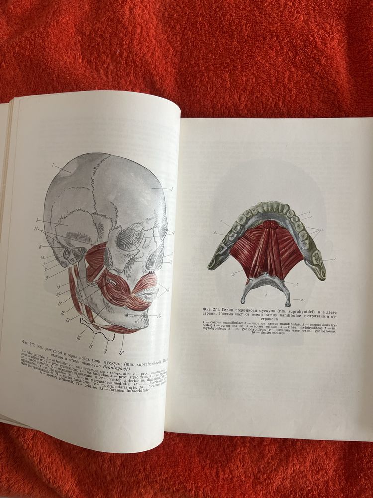Анатомия на човека - за студенти по медицина