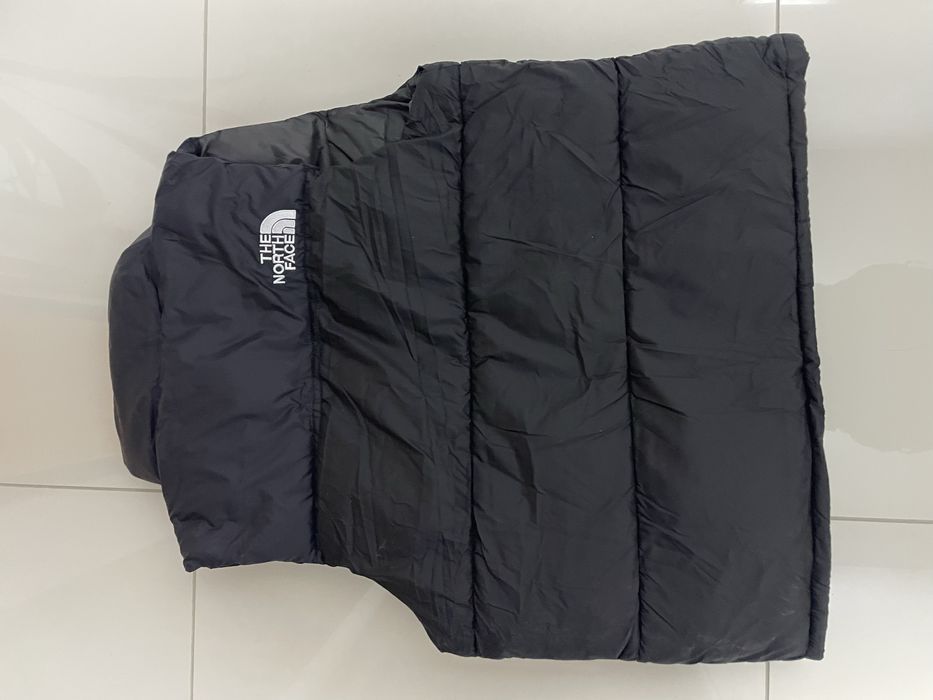 Vesta the north face
