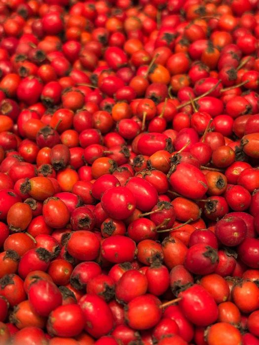 Fructe paducel (gherghine) proaspete