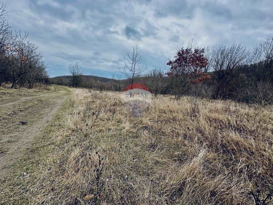 Продава се Парцел в с. Църква, Област Добрич - 25000 кв.м за 3 €/кв.м - Снимка #9