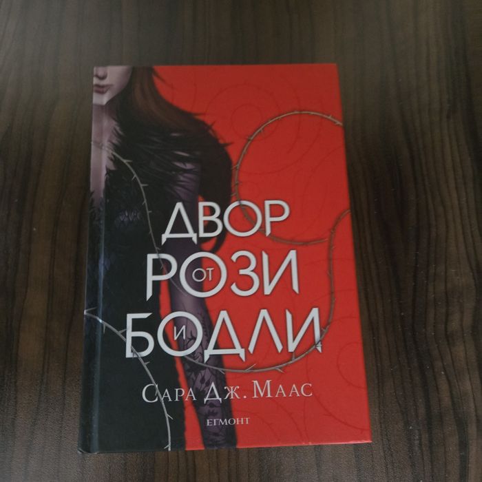 книга двор от рози и бодли