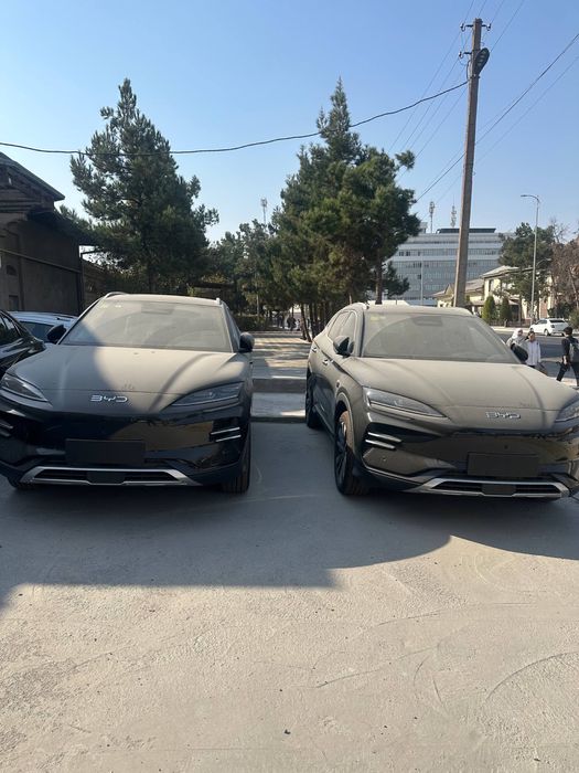 BYD chempion full 605