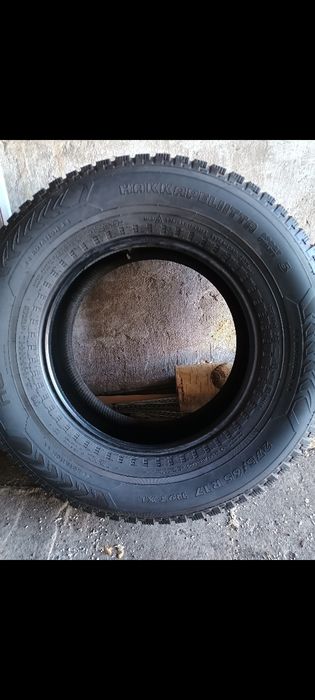 Резина зимняя шипованная