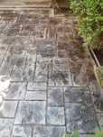 Beton amprentat pavaje 80 ron