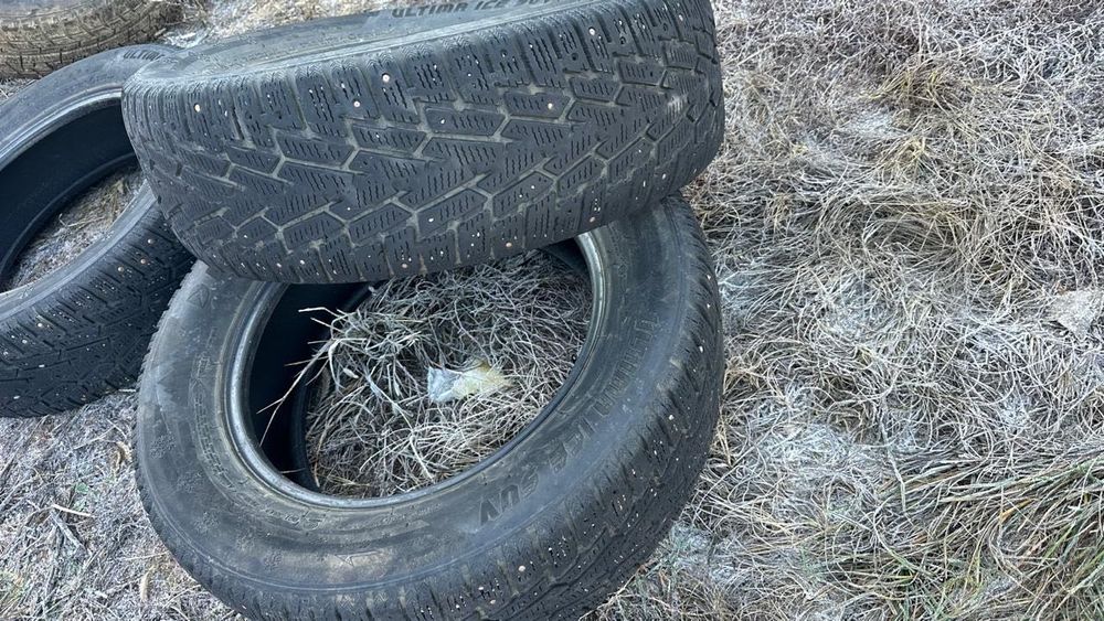 Продажа зимней резины