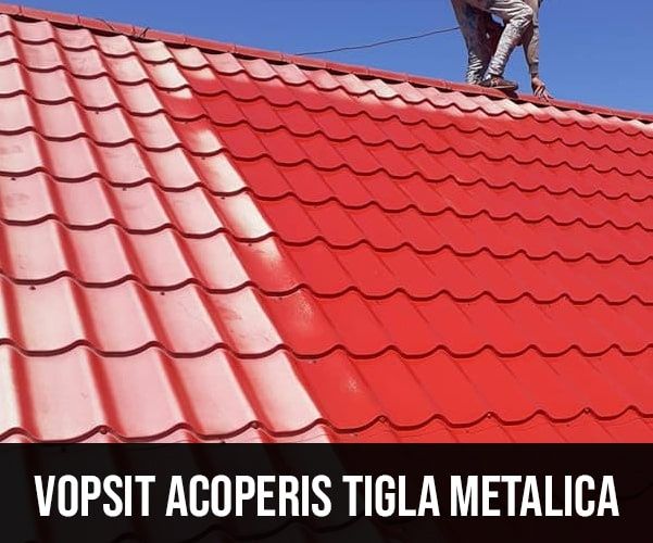Vopsim orice tip de tablă pe acoperisuri la case/vile/biserici, struct